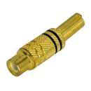 Audio adapter - RCA (Pin) - zenski - Gold / Black