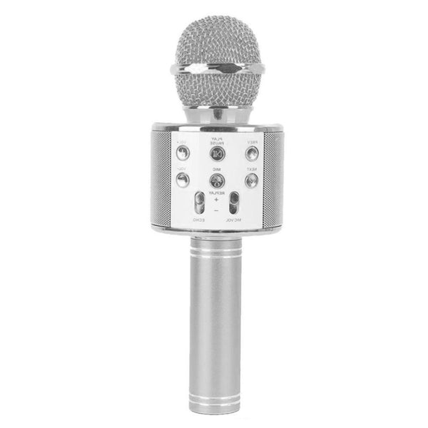 Karaoke Mikrofon so Zvucnik - WS-858 - Silver