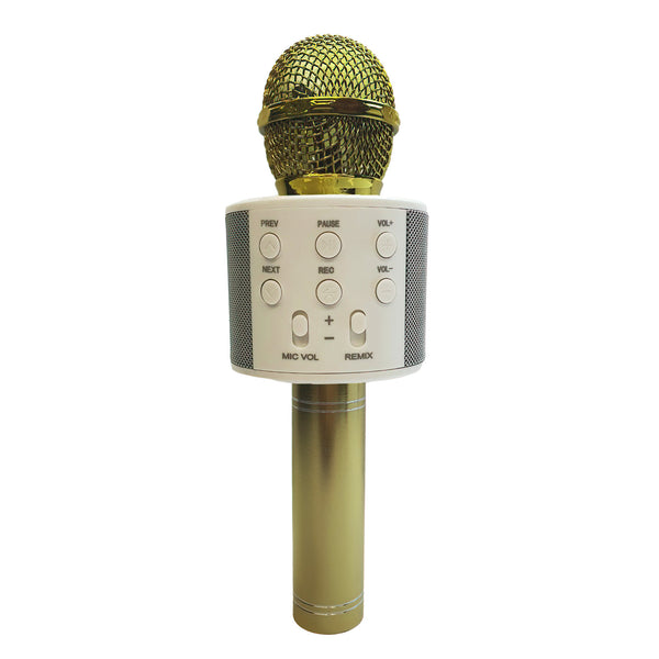Karaoke Mikrofon so Zvucnik - WS-858 - Gold